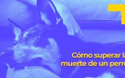 Cómo superar la muerte de un perro